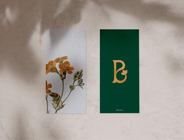 Bloom branding 1